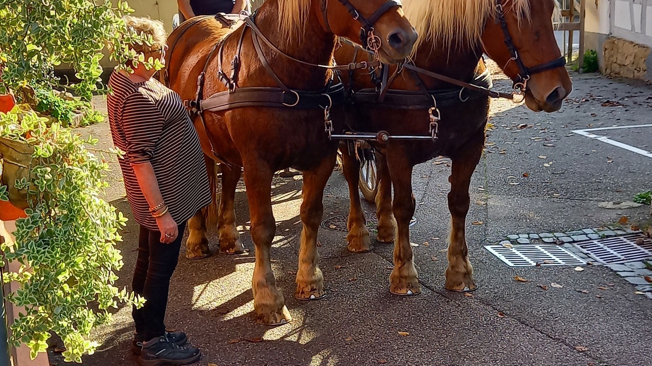 Photo of Outdoor in Olwisheim