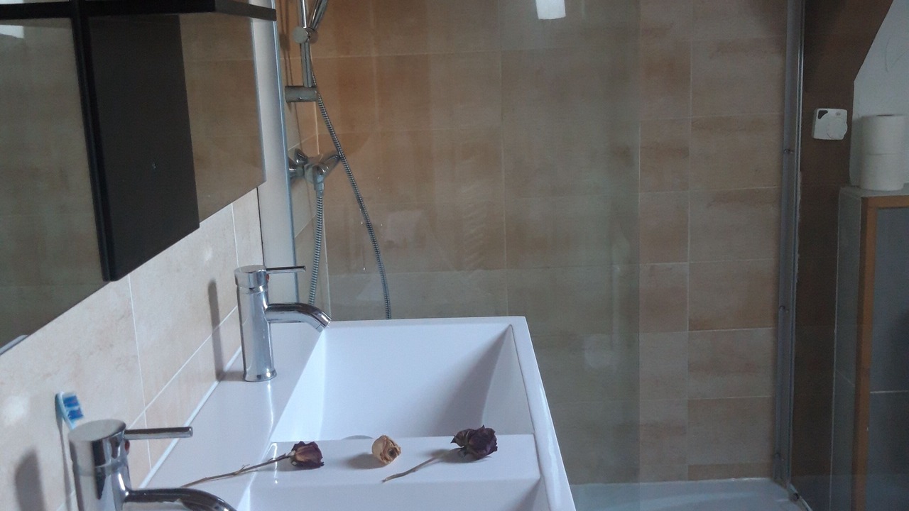 Photo of Bathroom in Olwisheim