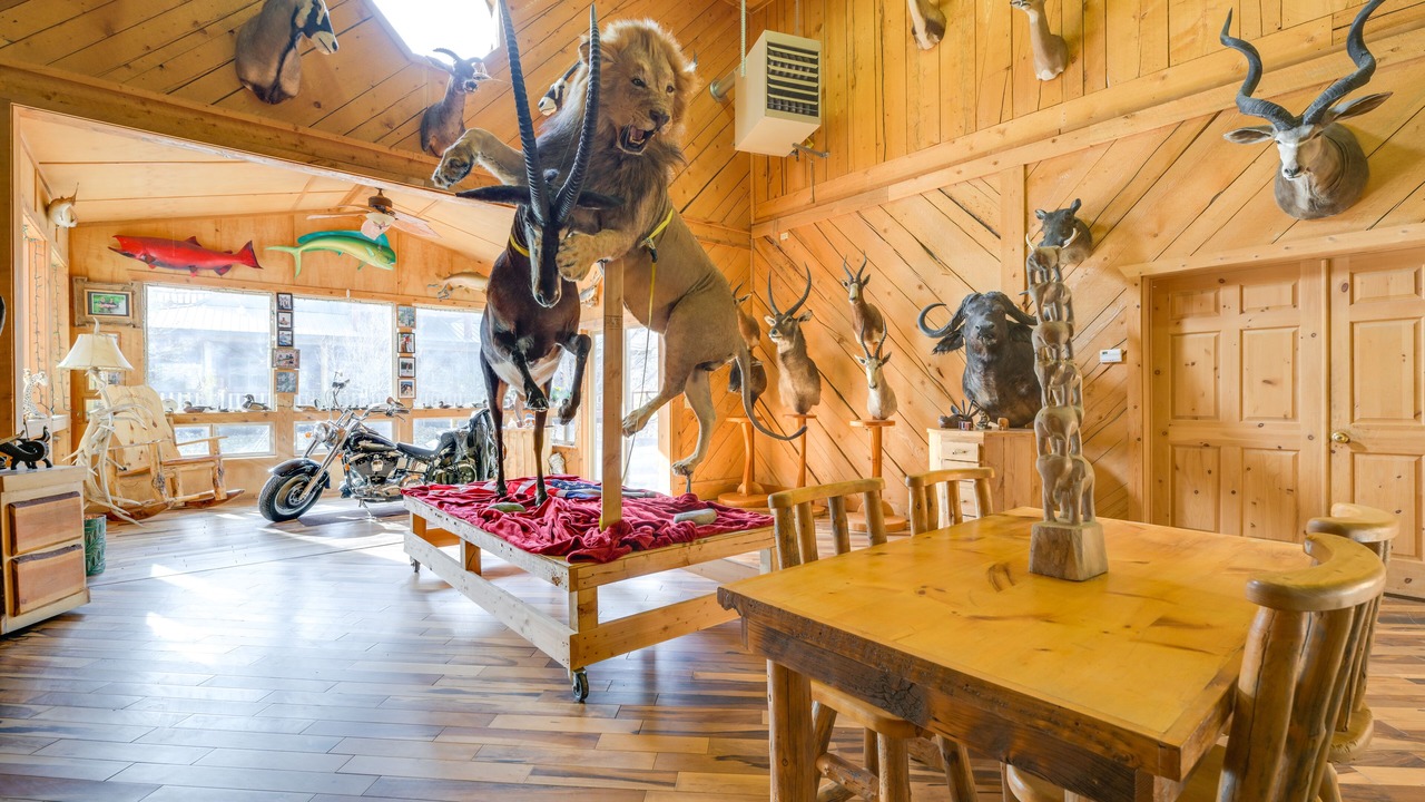 Photo of Others in Salmon