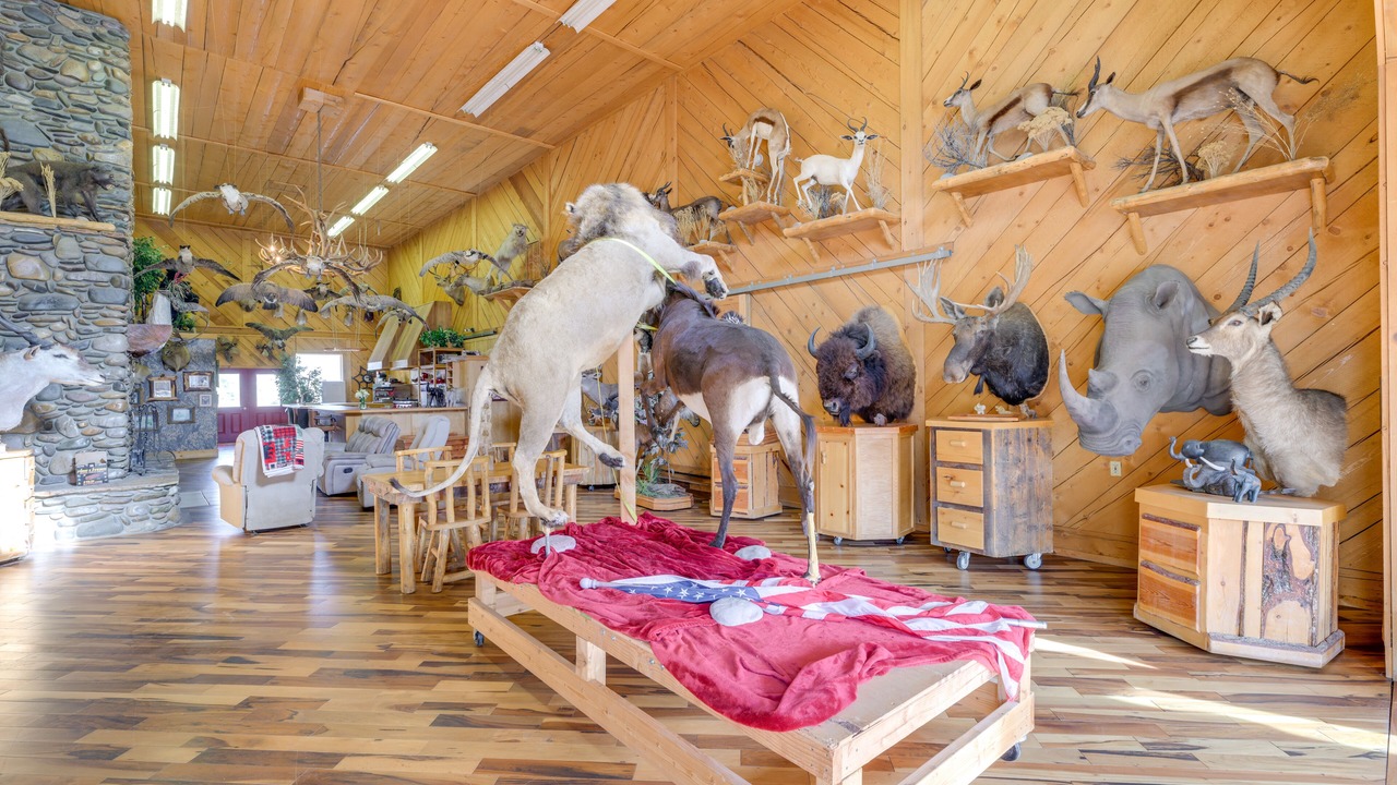 Photo of Others in Salmon