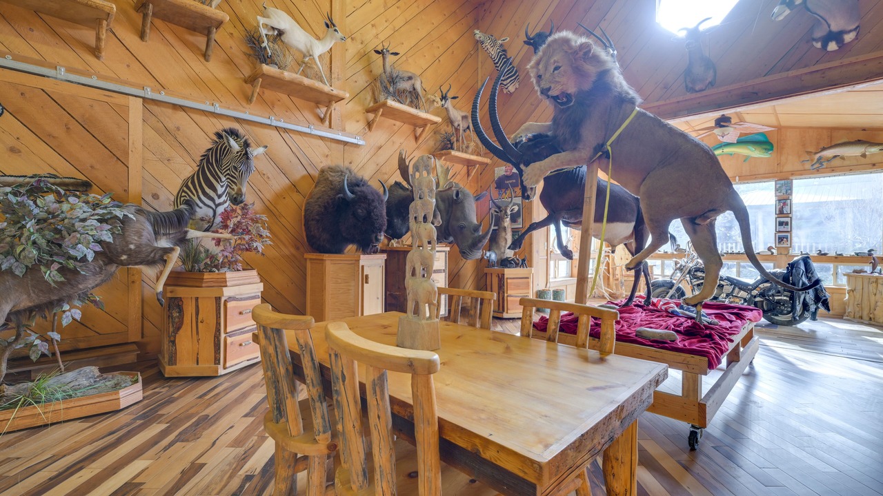 Photo of Others in Salmon