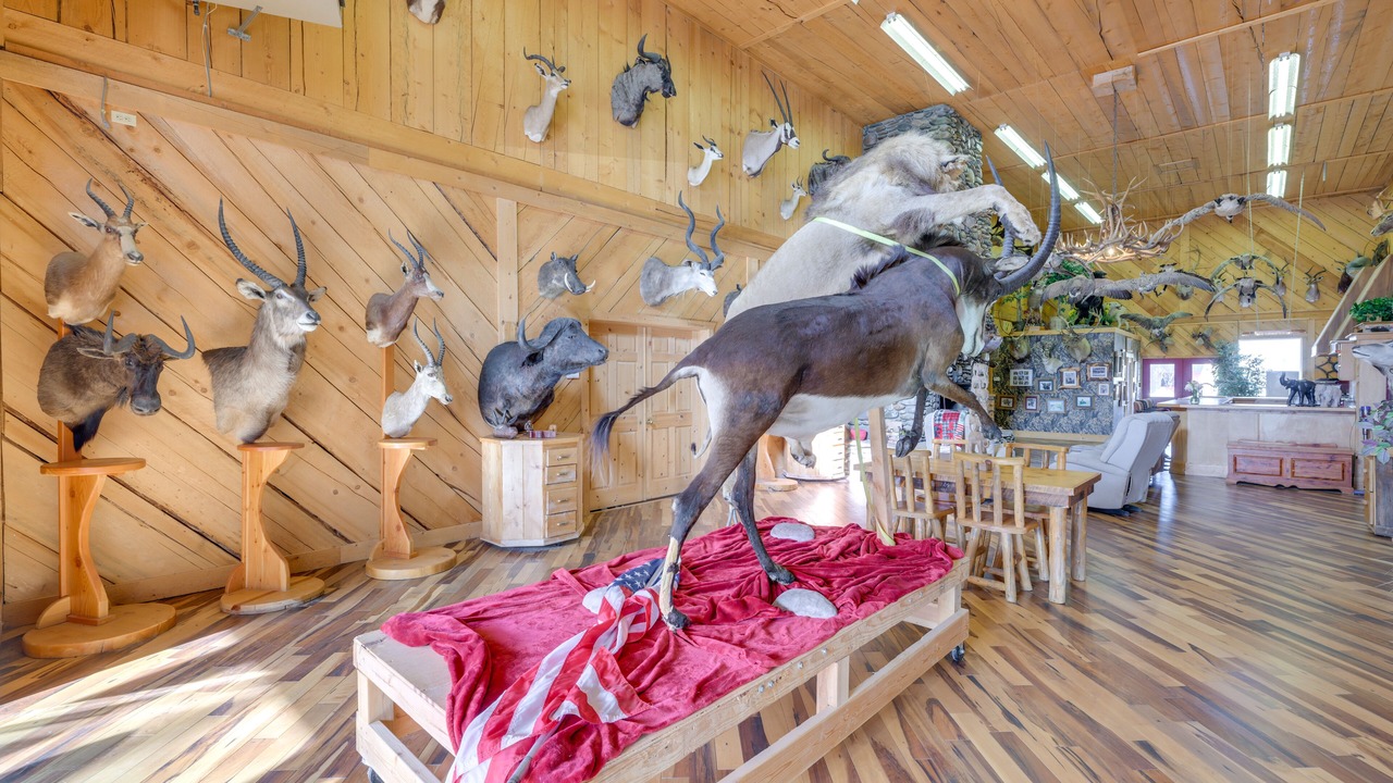 Photo of Others in Salmon