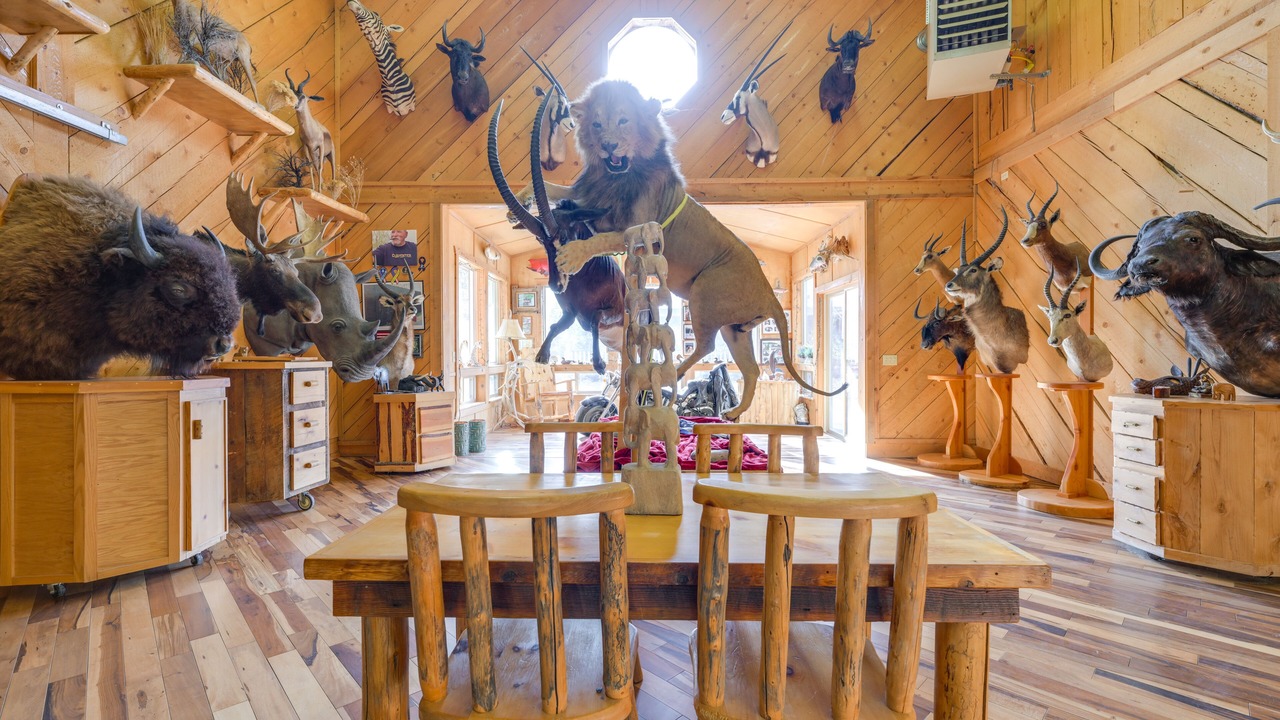 Photo of Others in Salmon