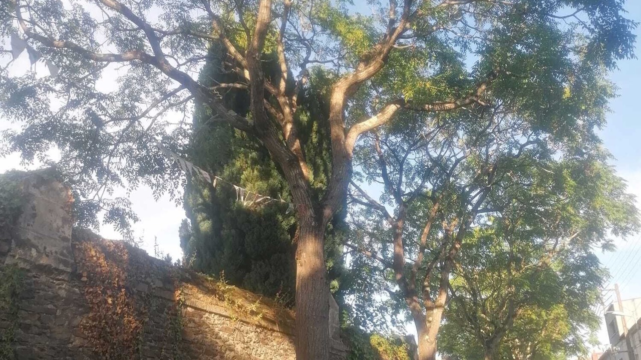 Photo of Outdoor in Viarme