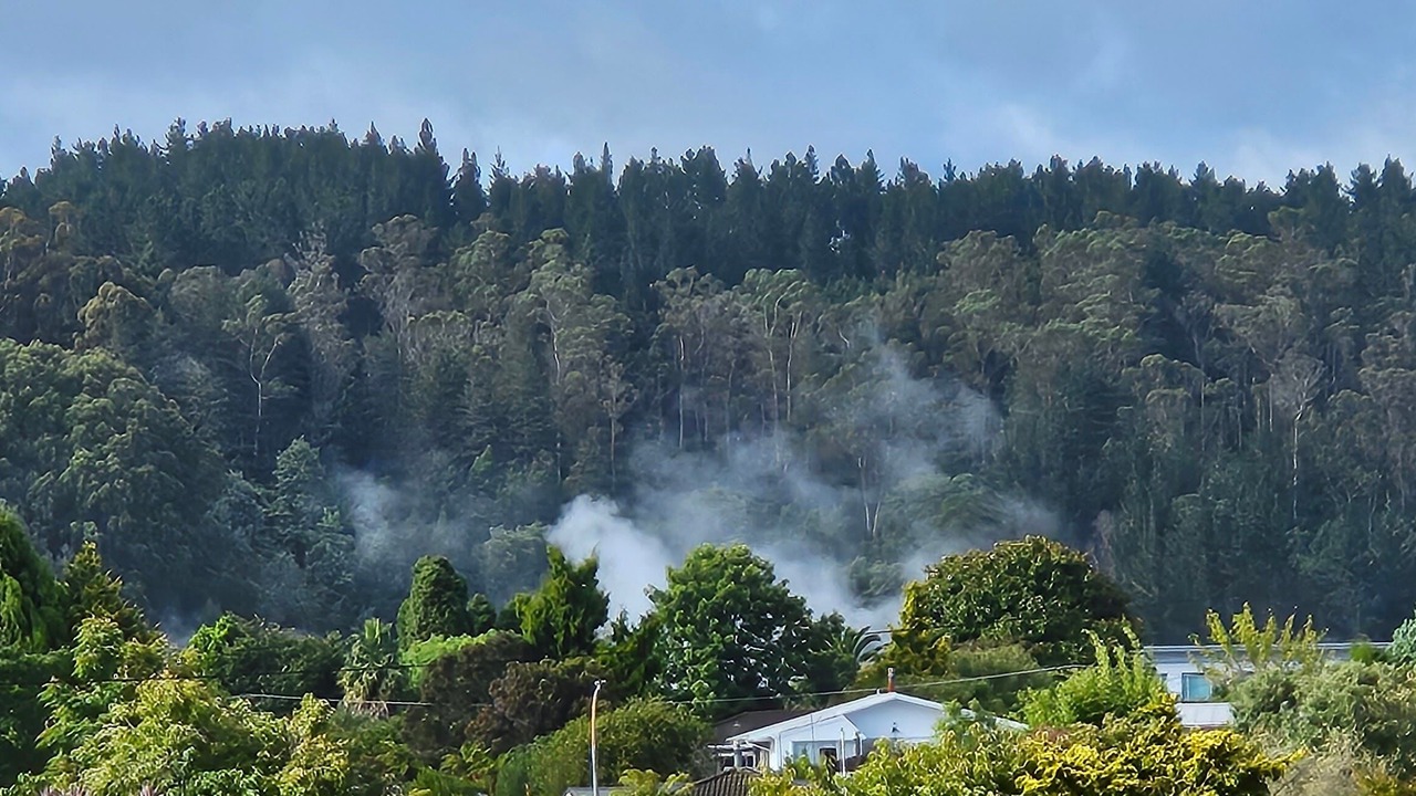 Photo of Others in Rotorua