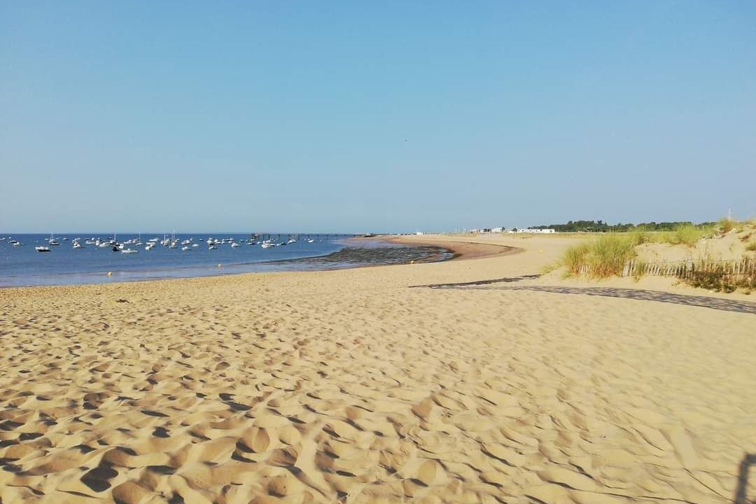 Photo of Others in La Tranche-sur-Mer