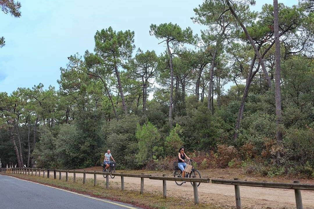 Photo of Outdoor in La Tranche-sur-Mer