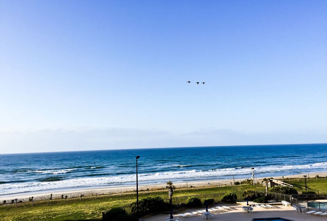 Photo of Others in Indian Beach
