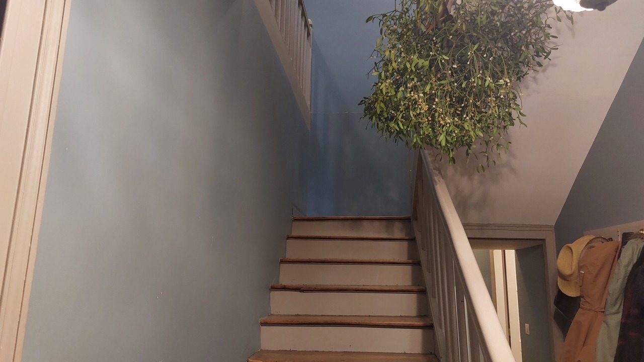 Photo of Others in Centre Ville