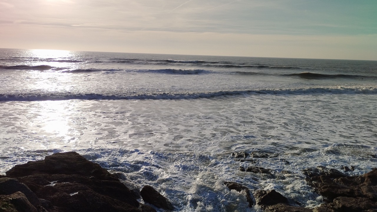 Photo of Others in Bretignolles-sur-Mer