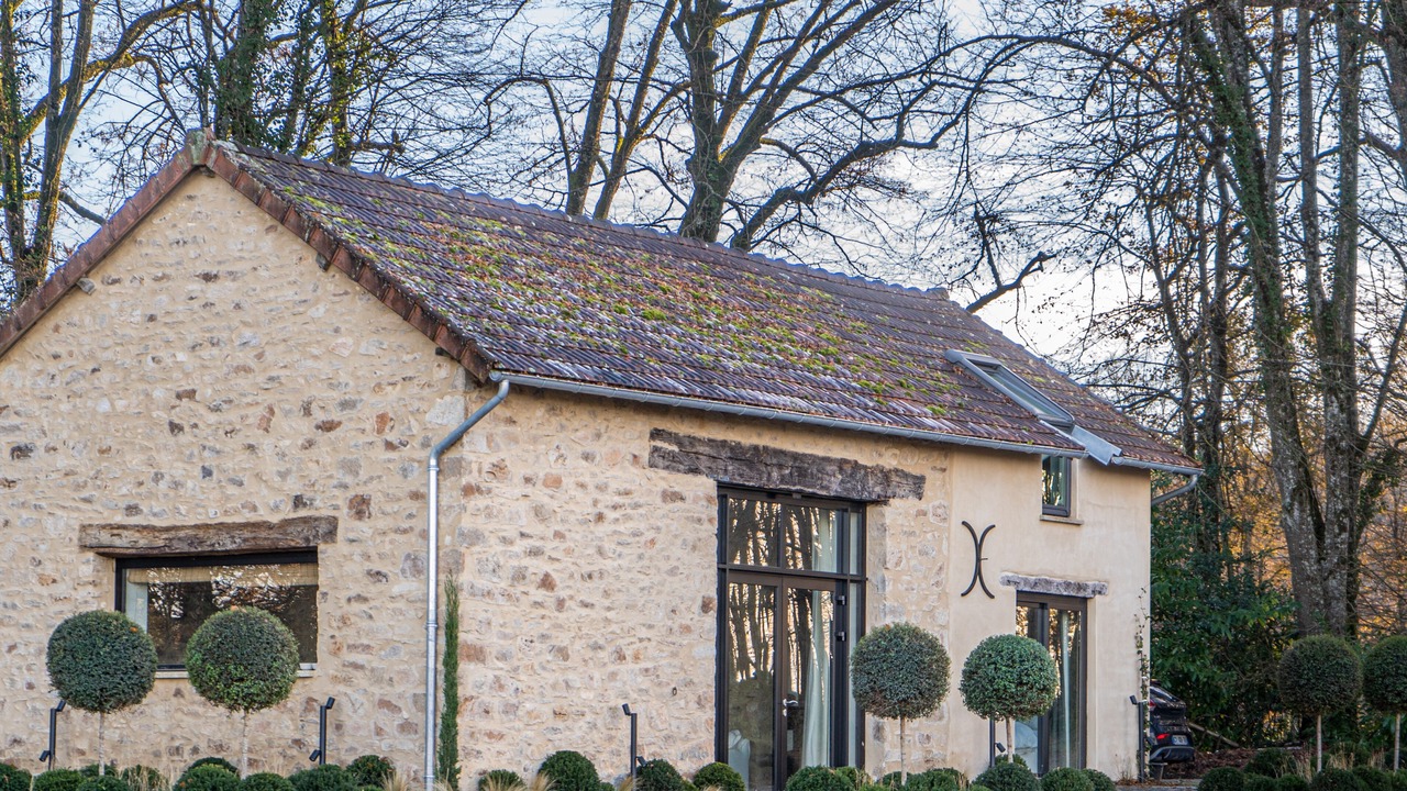 Photo of Outdoor in Nexon