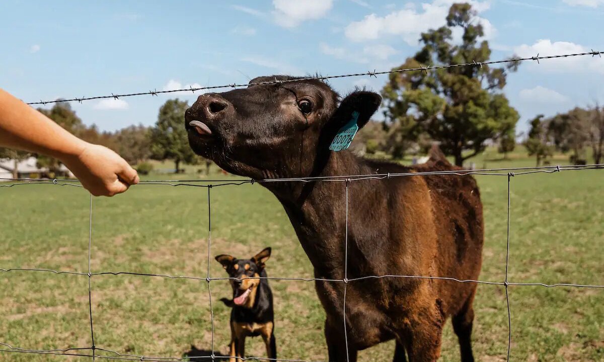 Photo of Others in St Fillans