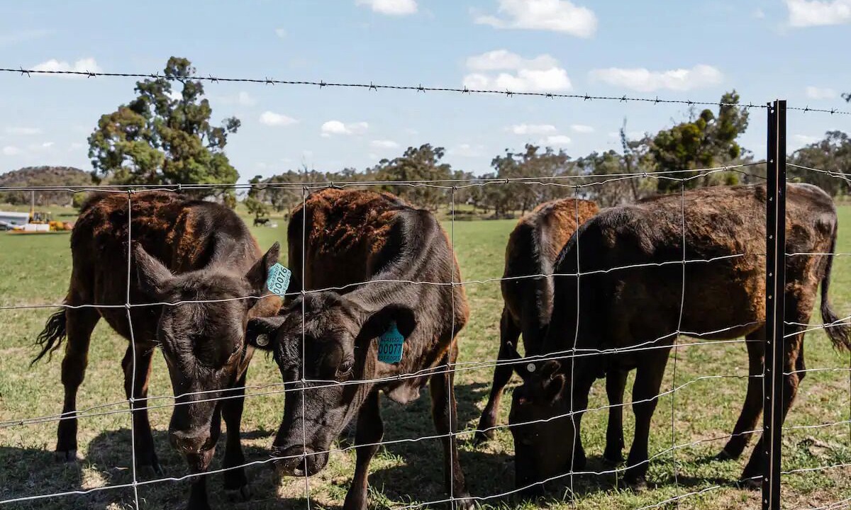 Photo of Bathroom in St Fillans