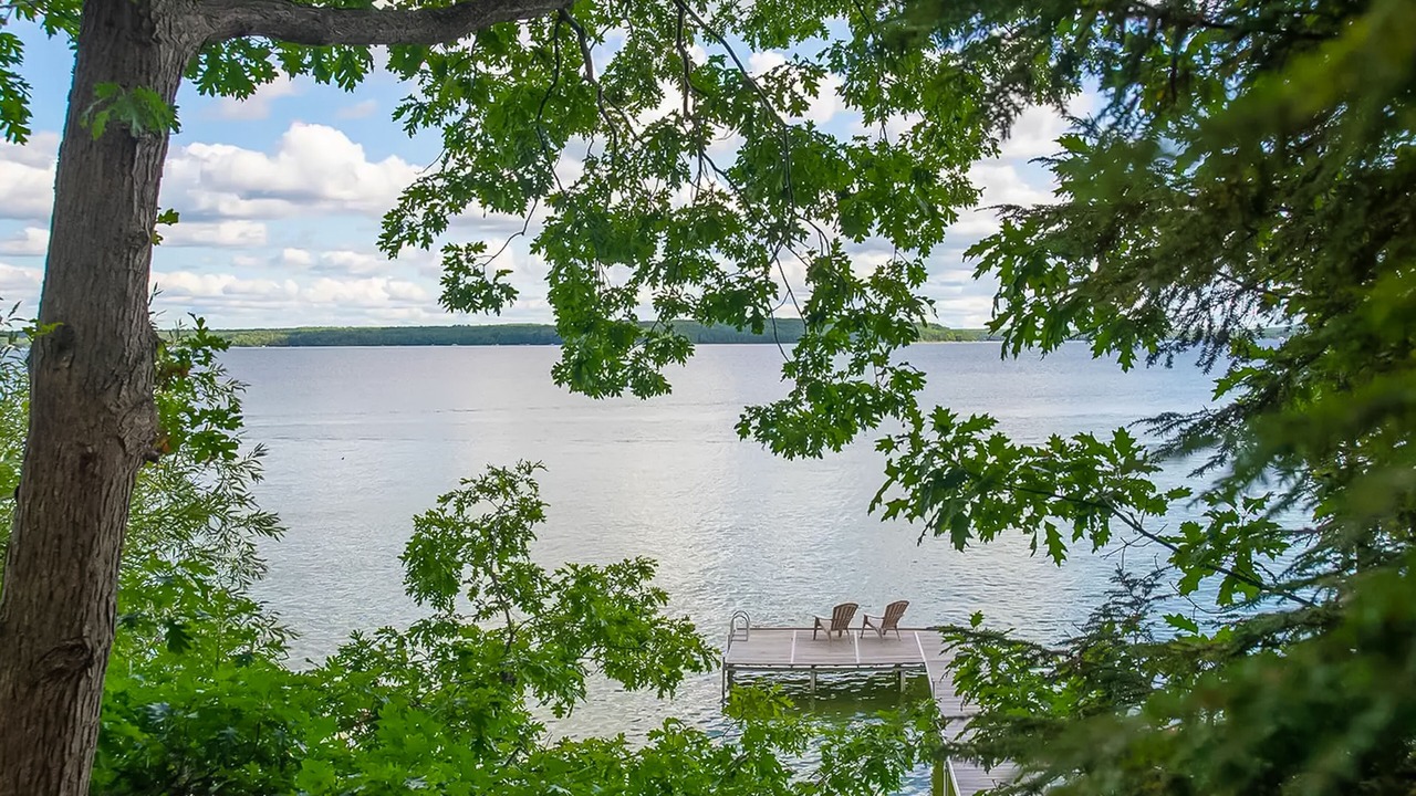 Photo of Outdoor in Indian River
