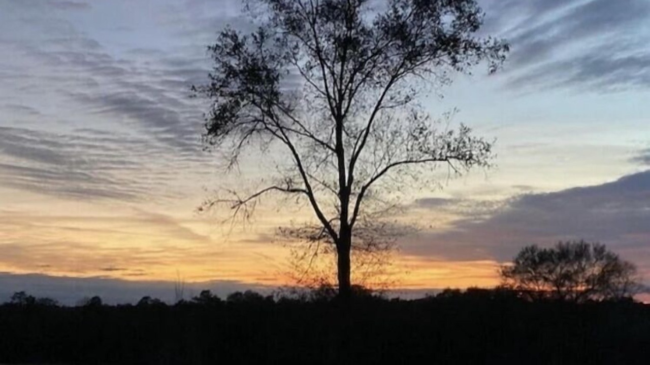 Photo of Others in Poplarville