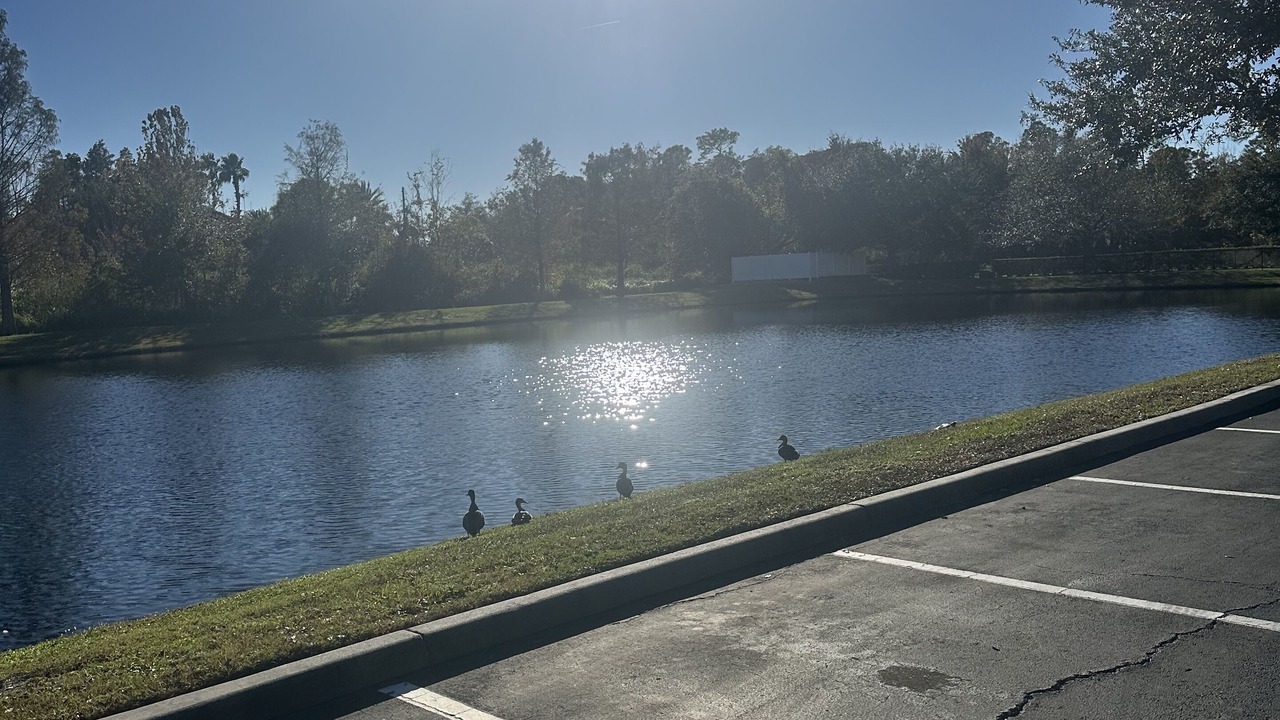 Photo of Others in West Kissimmee