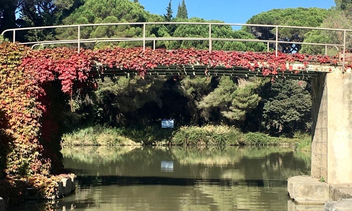 Photo of Outdoor in Salleles-d'Aude