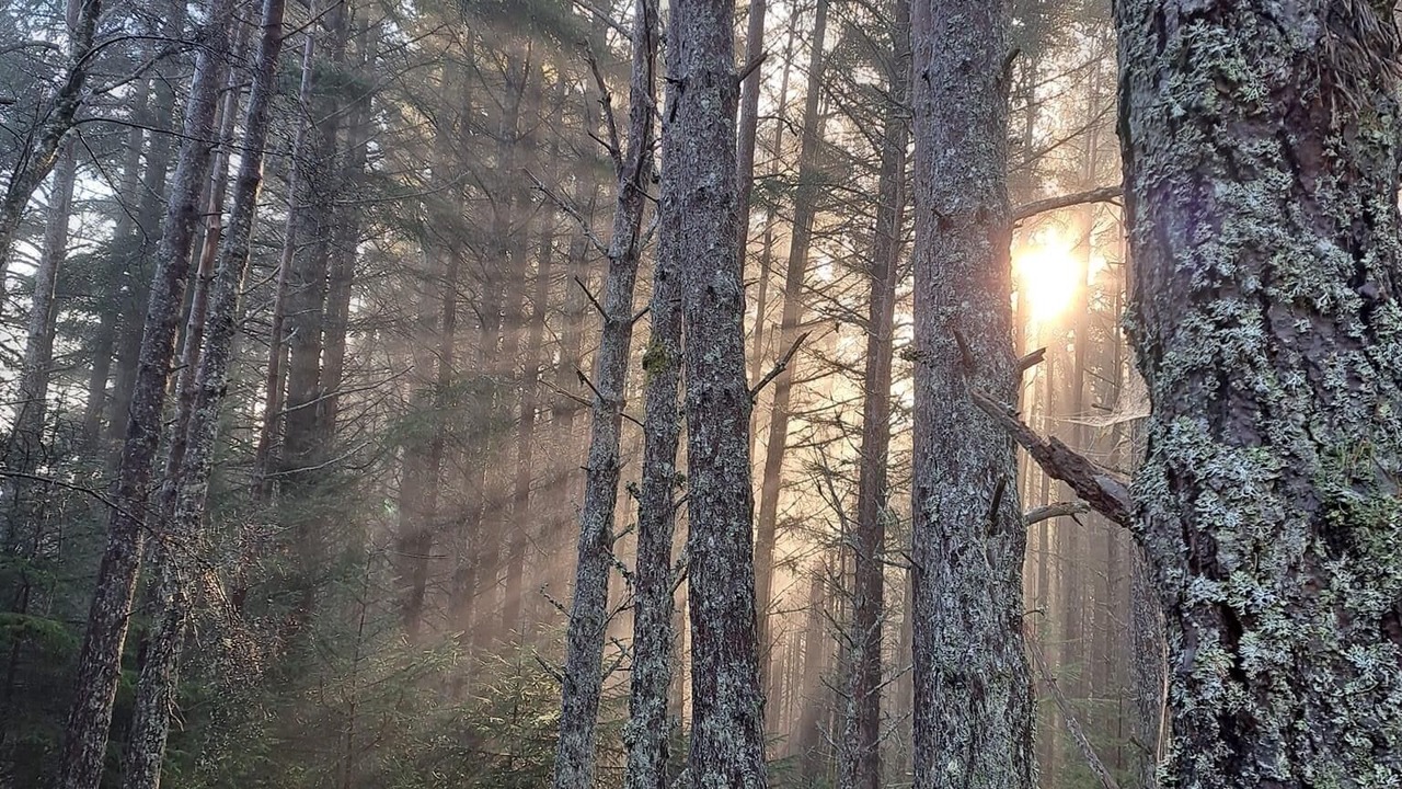 Photo of Others in Invershin