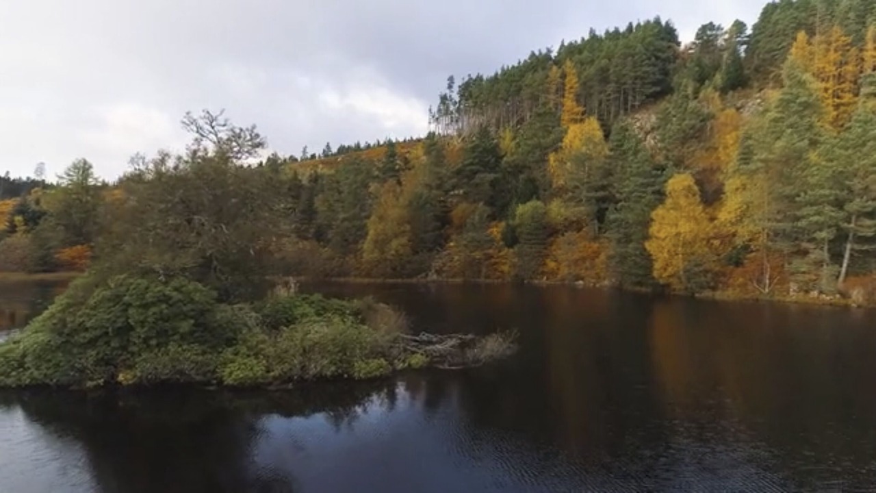 Photo of Others in Invershin