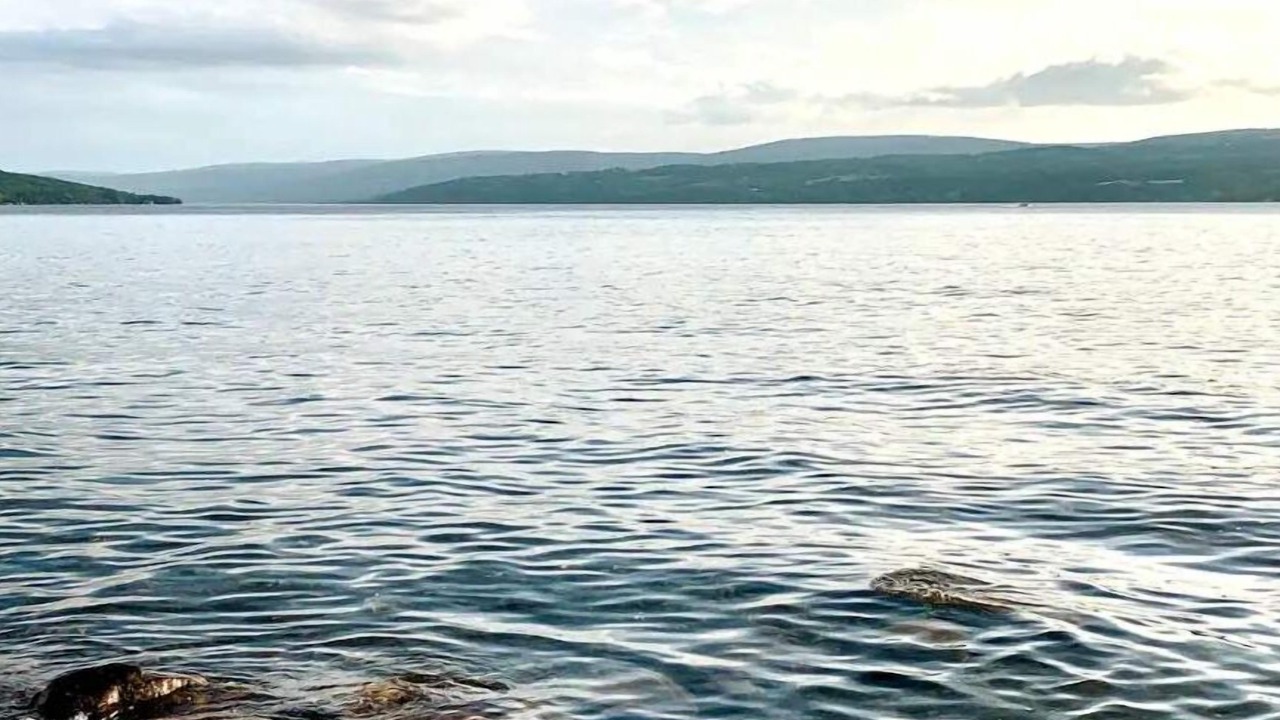 Photo of Others in Canandaigua