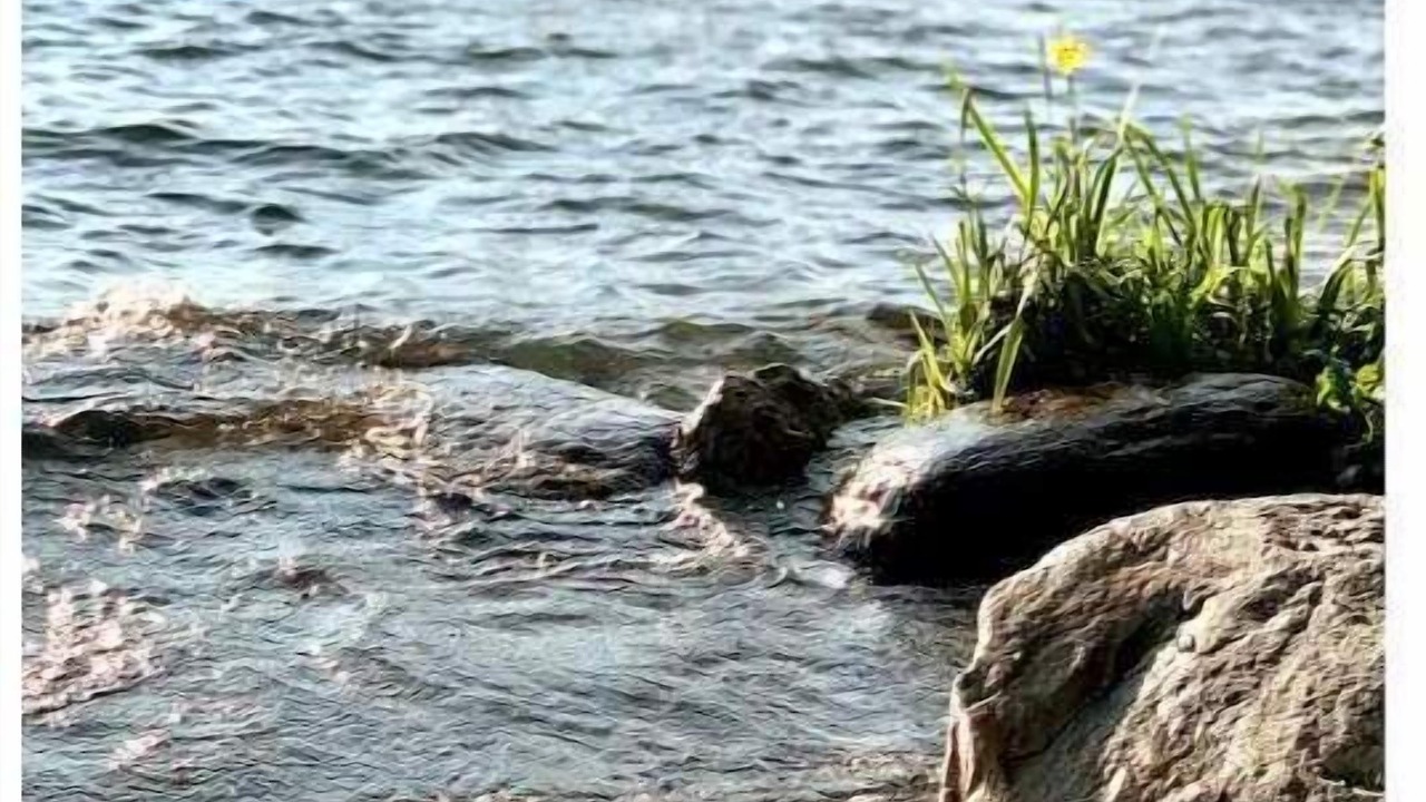 Photo of Others in Canandaigua