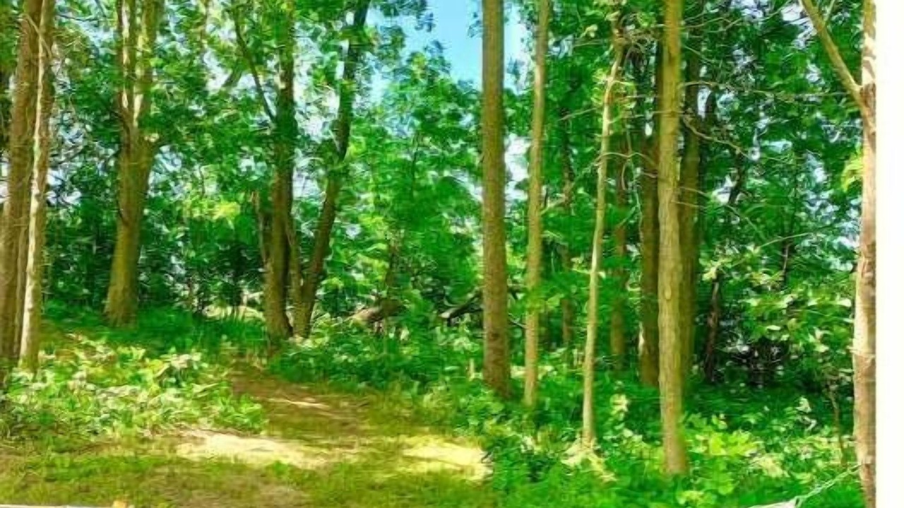 Photo of Outdoor in Bristol Hills