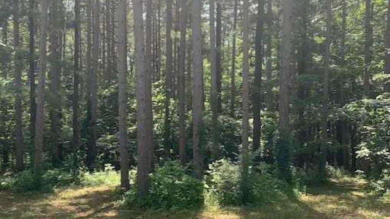 Photo of Outdoor in Bristol Hills