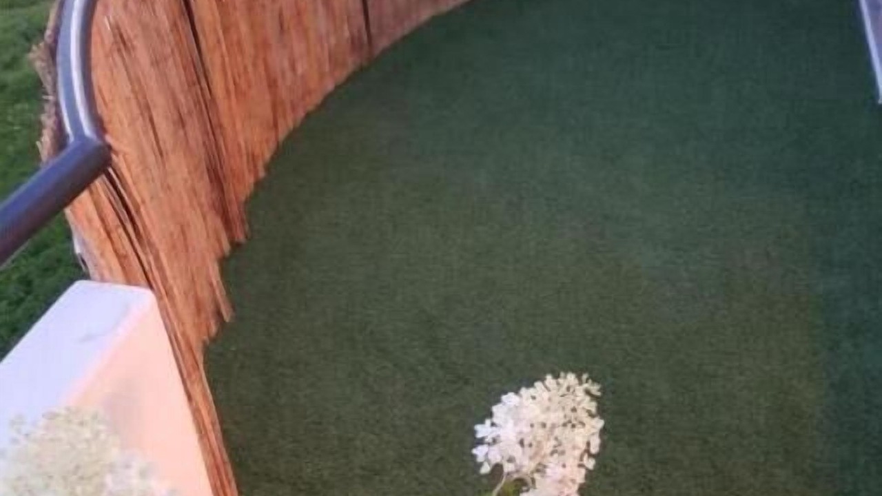 Photo of Outdoor in Lingolsheim