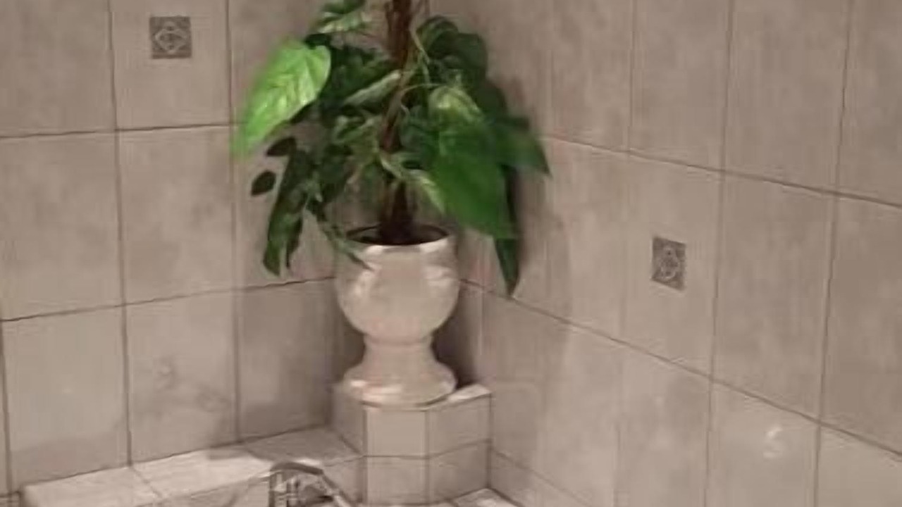 Photo of Bathroom in Lingolsheim