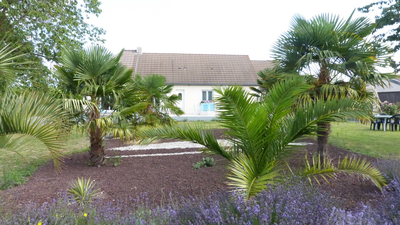 Photo of Outdoor in Blainville-sur-Mer