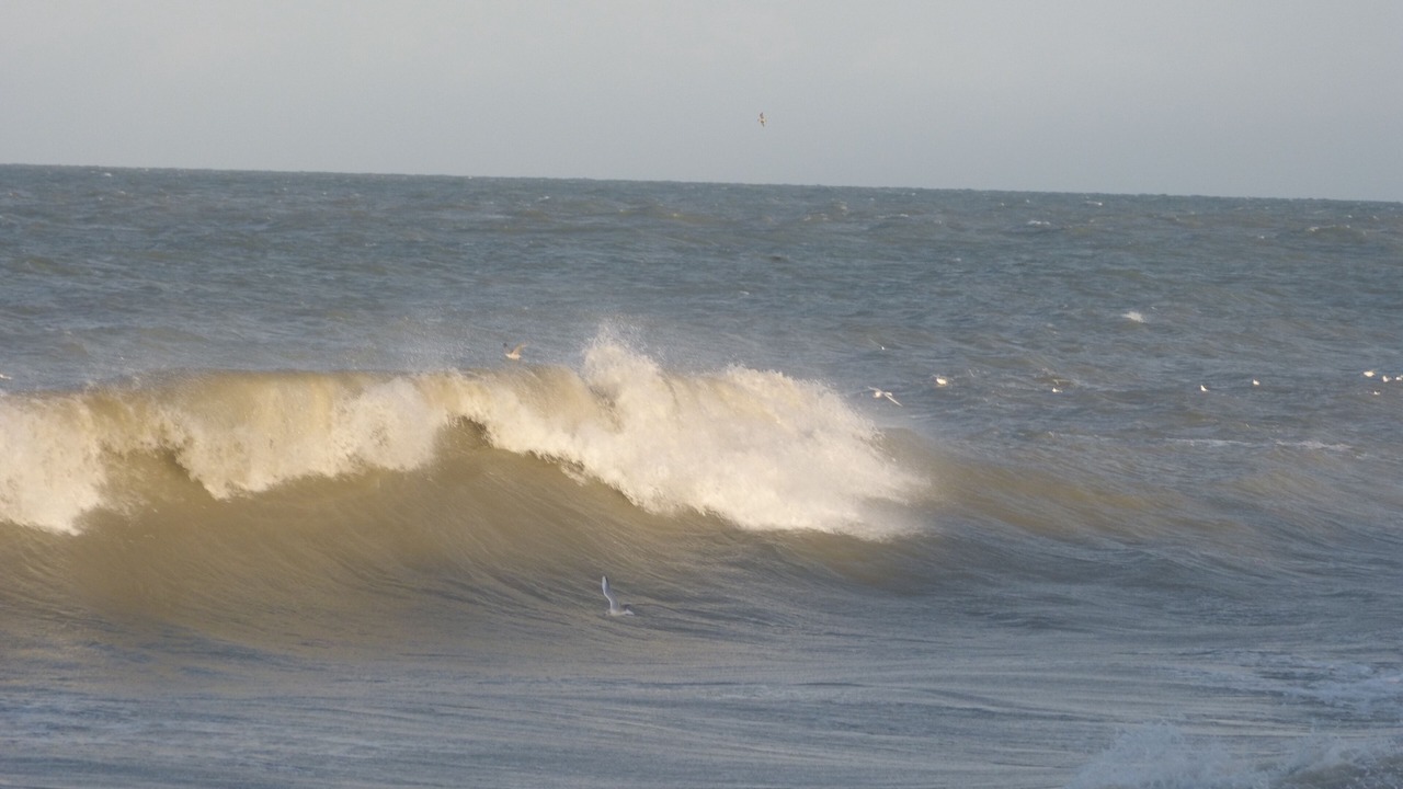 Photo of Others in Blainville-sur-Mer