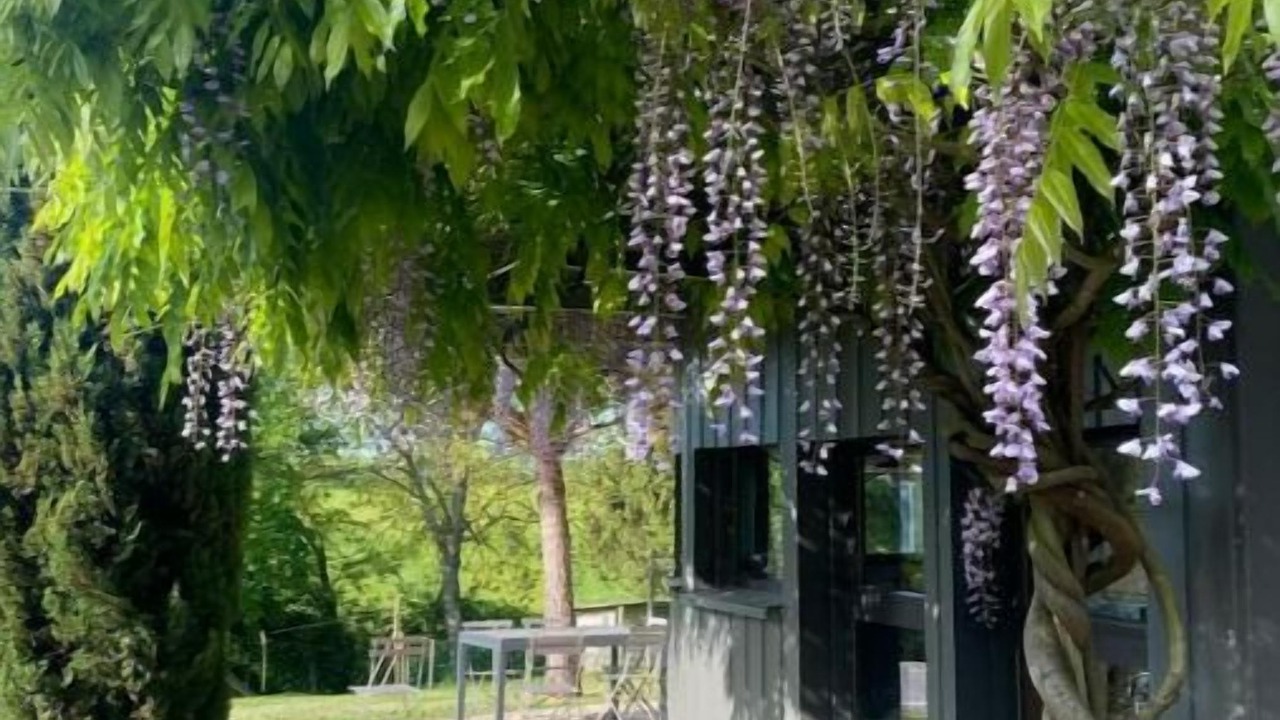 Photo of Patio Balcony in Mainneville