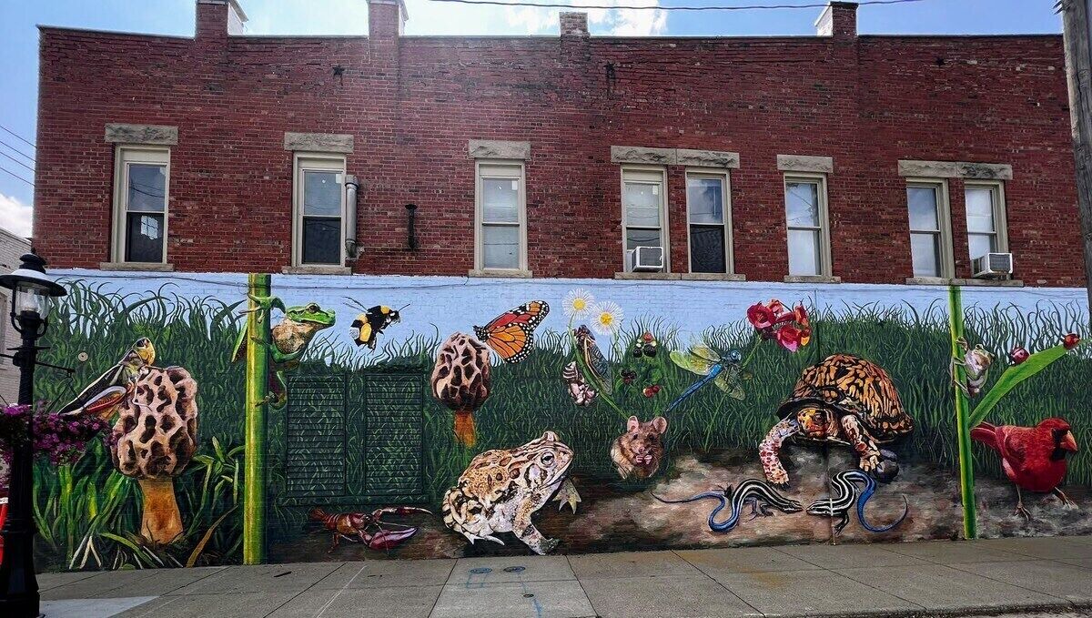 Photo of Others in Robinson