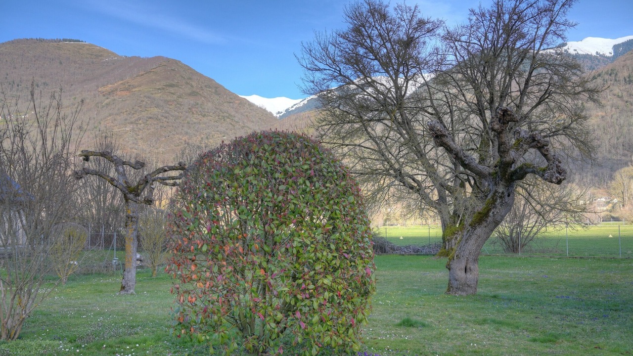 Photo of Others in Bagneres-de-Luchon