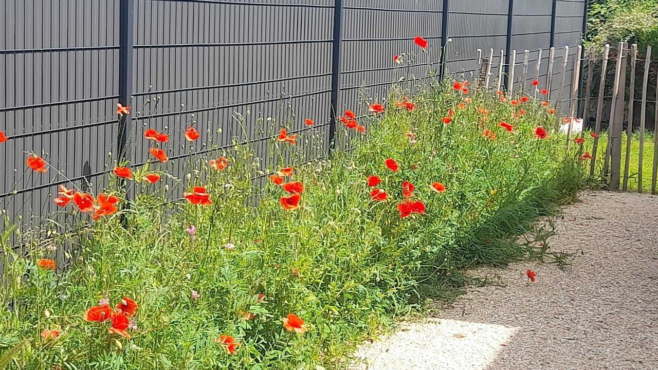 Photo of Outdoor in Villard-d'Hery