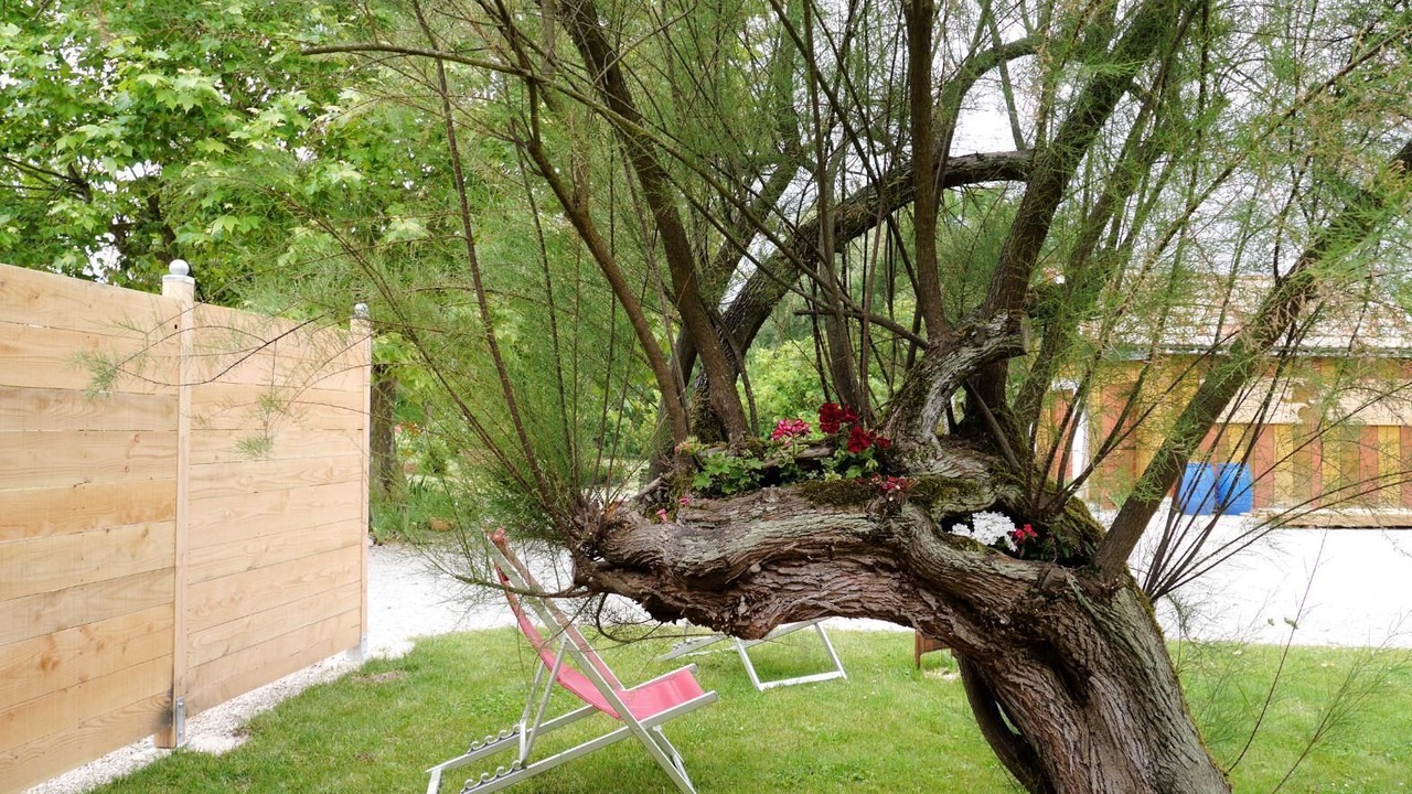 Photo of Outdoor in Pierre-de-Bresse