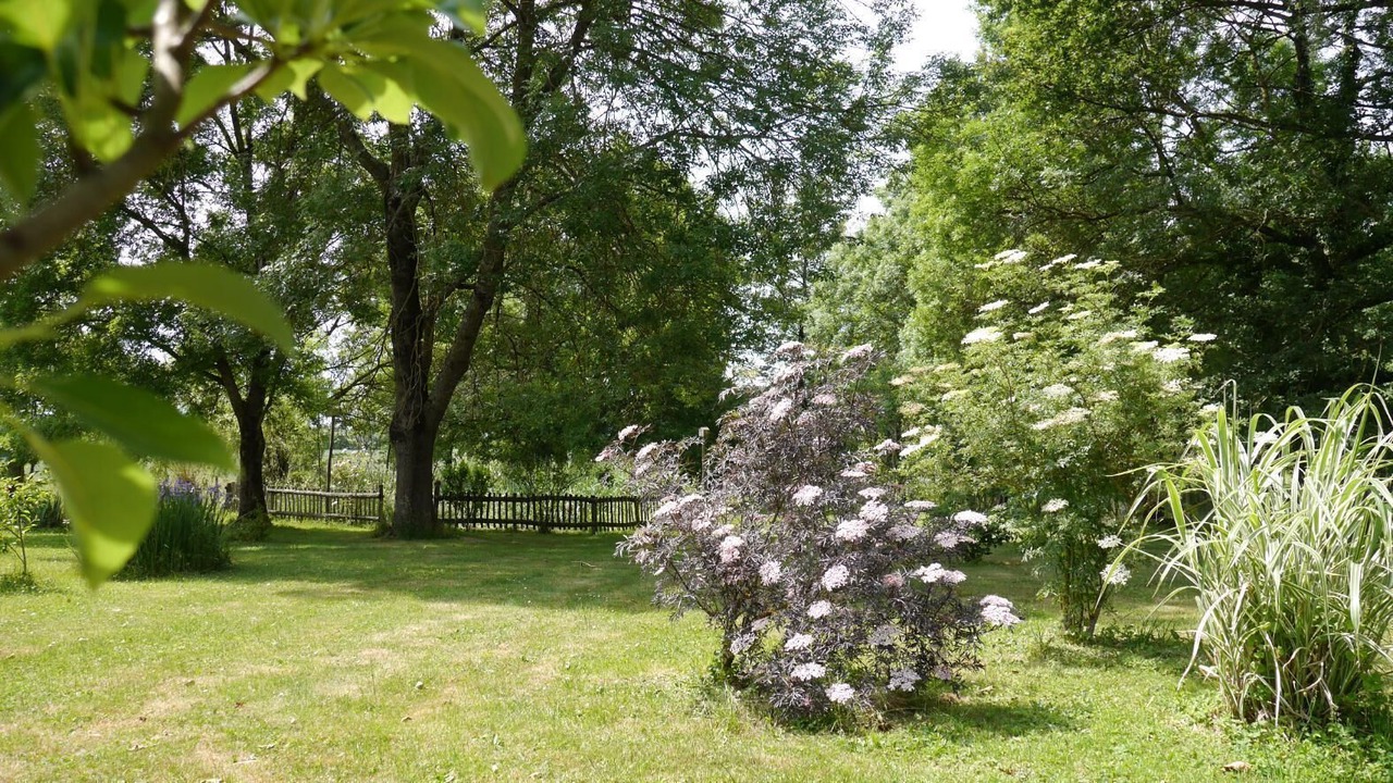 Photo of Outdoor in Pierre-de-Bresse