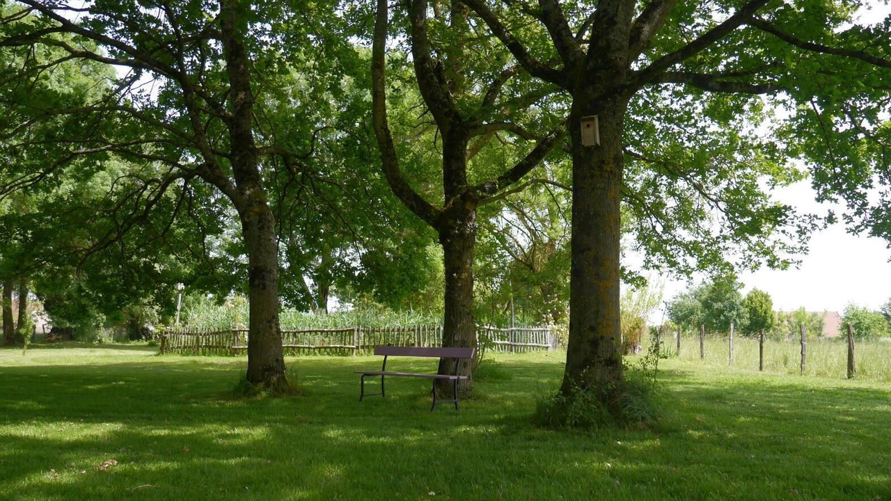 Photo of Outdoor in Pierre-de-Bresse