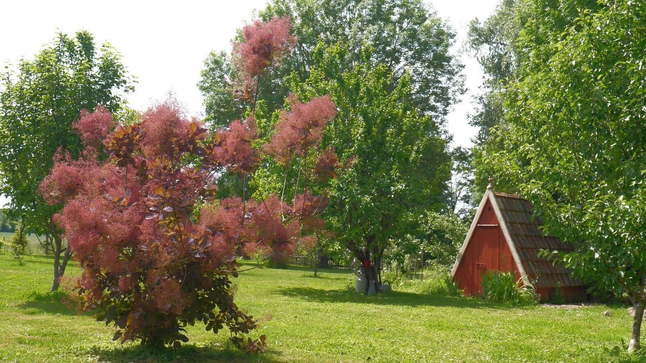 Photo of Outdoor in Pierre-de-Bresse