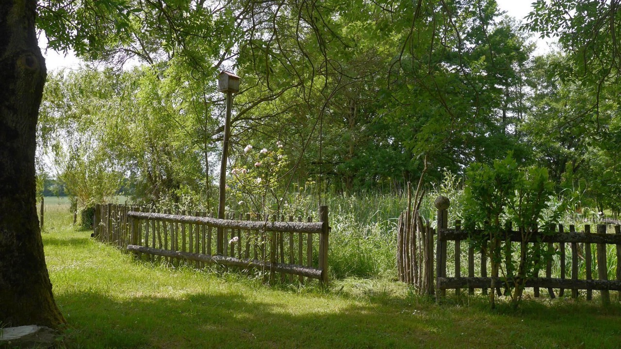 Photo of Outdoor in Pierre-de-Bresse