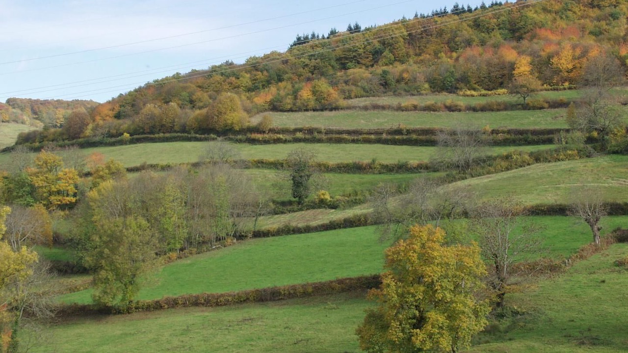 Photo of Others in Bourgvilain