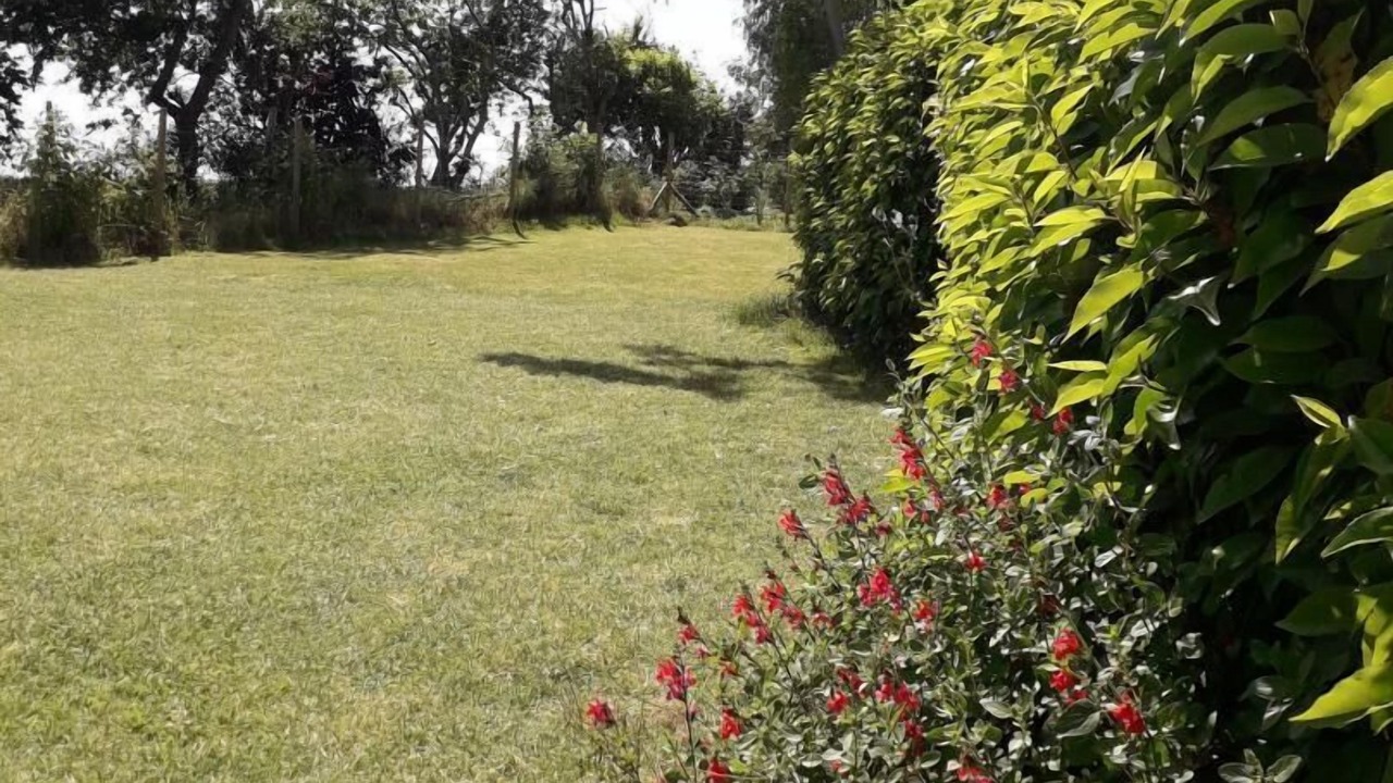 Photo of Outdoor in Limerzel