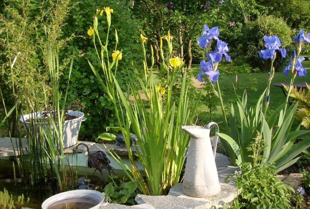 Photo of Outdoor in Pluneret