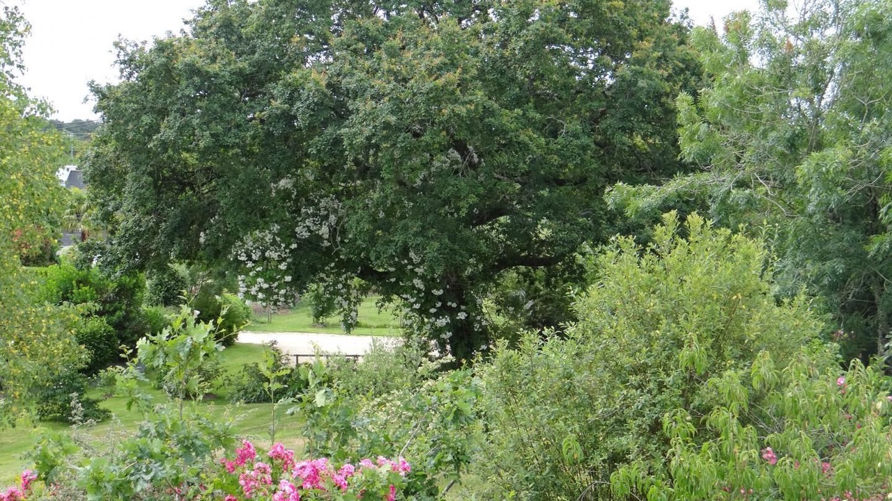 Photo of Outdoor in Pluneret