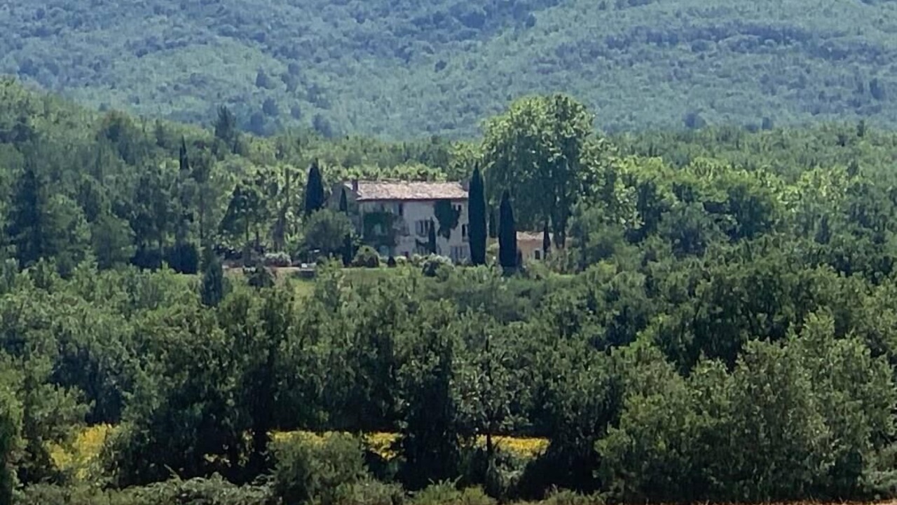 Photo of Others in Saint-Martin-de-Castillon