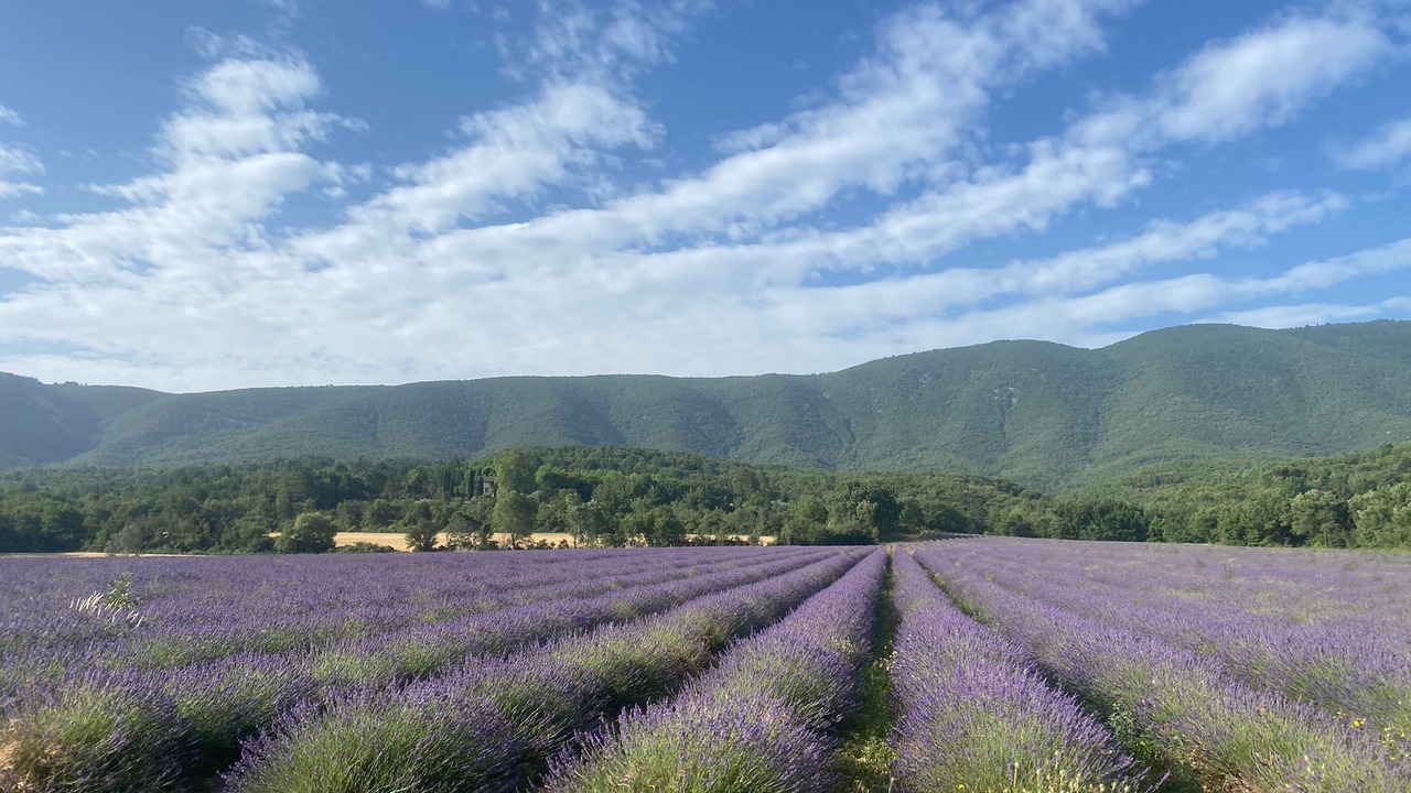 Photo of Others in Saint-Martin-de-Castillon