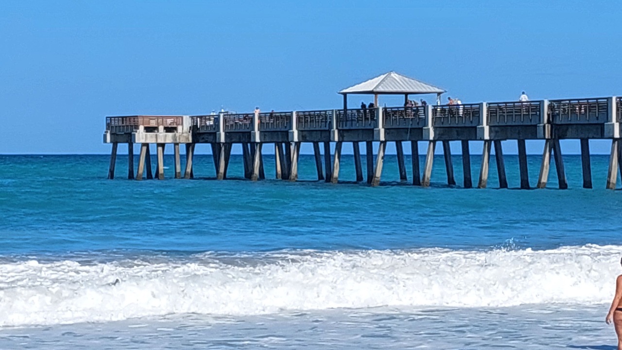 Photo of Others in Palm Beach Gardens