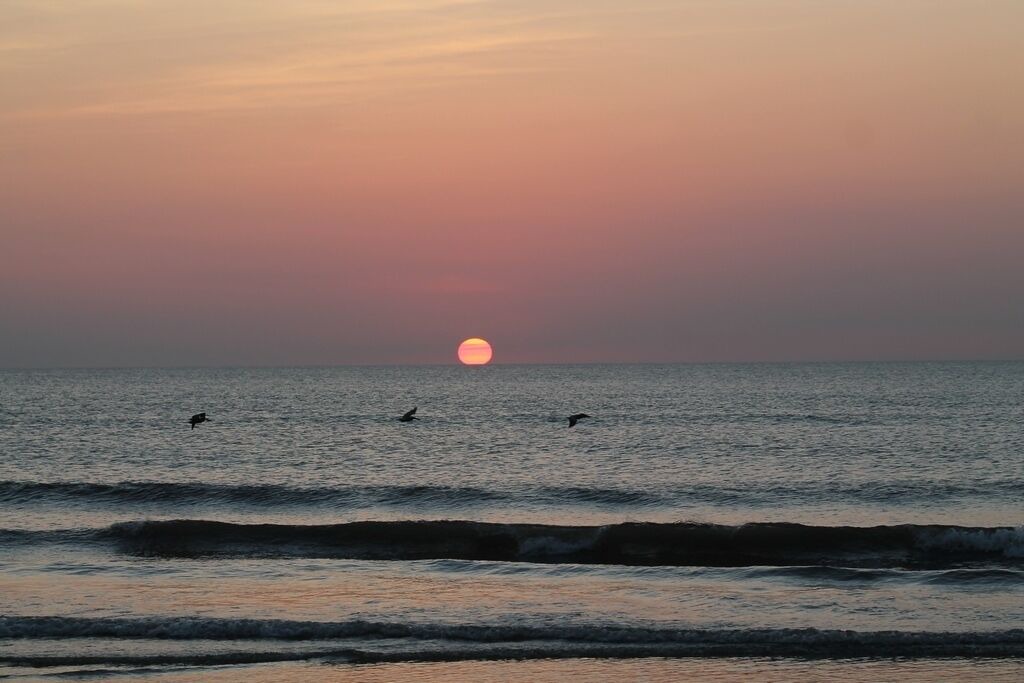 Photo of Others in Ormond-by-the-Sea
