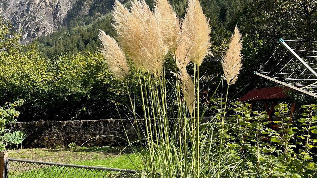 Photo of Outdoor in Gurtnellen