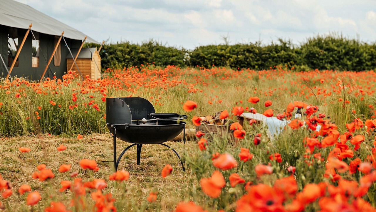 Photo of Outdoor in Little Walsingham